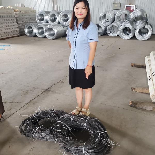 Deterrent Inconspicuou Discreet Security Border Entanglement Trap Subtle