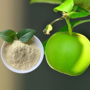 Quality Soy Protein Hydrolysate Amino Acid Chelate Fertilizer With Ca for sale