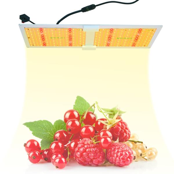 Buy Dimming 660nm 300W IP65 Waterproof LED Plant Light 50000H at wholesale prices