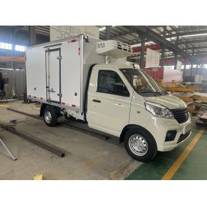 Refrigerated Truck with Manual Transmission and Energy Sources