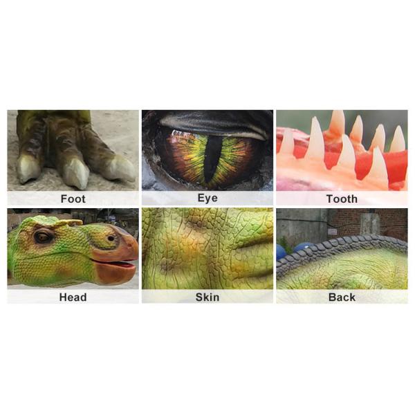 Soft Silicone Rubber Animatronic Dinosaur Maiasaura With Movements