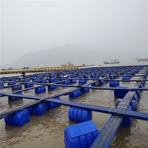 Nylon/PE Material Square Fish Farming Cage with 4sq. m to 200sq. m Size and 15