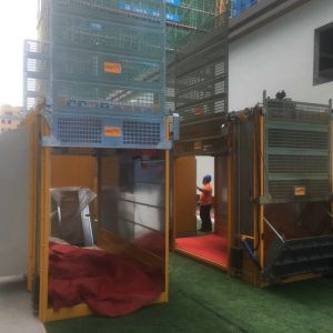 Rack Pinion 450 M Construction Material Lifting Hoist