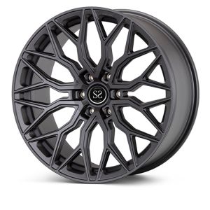 SSWS1025 Multi Spoke Forged Aluminum Alloy Rims 20inc Fit For VW Audi Prosche
