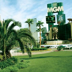 3/8" Gauge Garden Artificial Carpet Grass 55MM Height