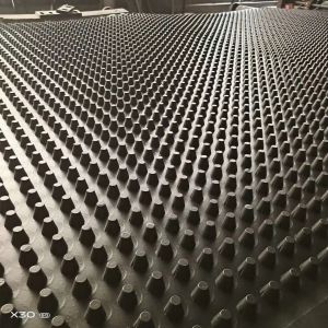PE 2m Double Side HDPE Greenroof Dimple Mat Drainage Boards for Optimal Water