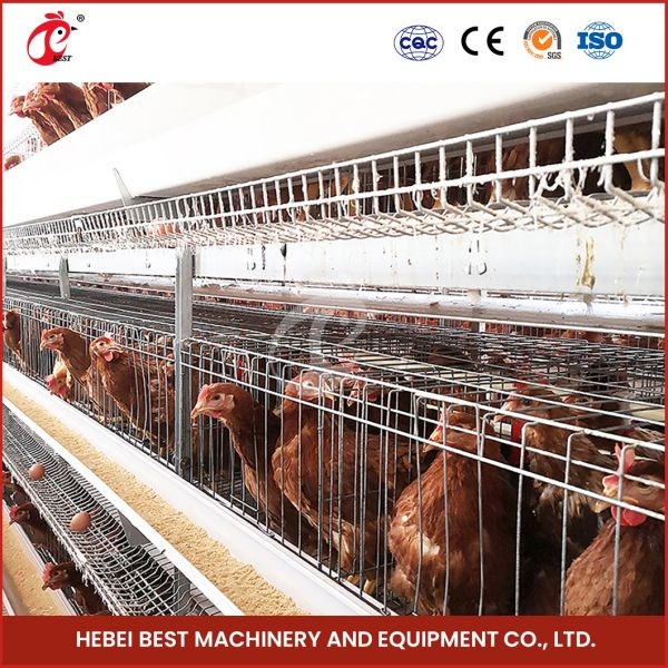 80-100kg Cage Weight H Shaped Automatic Chicken Chick Cage Automatic Chicken