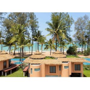 Environmentally Friendly Noya Thatch Tile 05 30-50 Year Lifespan for Your Decoration