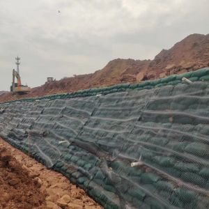 50m Length PP HDPE Uniaxial Geogrid for Minimalist Design Style in Durable