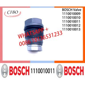 Pressure relief valve 1110010011 1110010010 1110010018 1110010019 1110010014