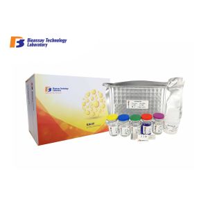 Quality ELISA Kit for Human ALP High Specificity and Sensitivity for sale