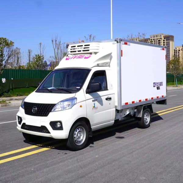 4X2 New Model FOTON Mini 3 Tons Refrigerated Truck Freezer Van Refrigerator Truck Wagon