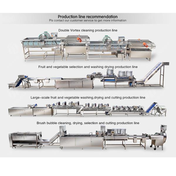 Conveyor Production Line Simplified Orange Potato Onions Ginger Potato Carrot Taro Sweet potato Yam Saiko persimmon papaya horseshoe processing