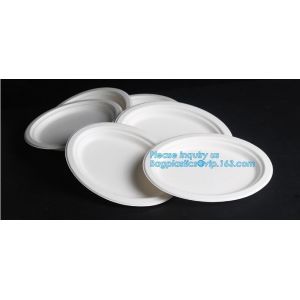 biodegradable sugarcane bagasse bowl,Food Grade Biodegradable Disposable