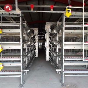 SGS Automatic Broiler Chicken Cage ISO9001 Q235A Hot Dipped Galvanized