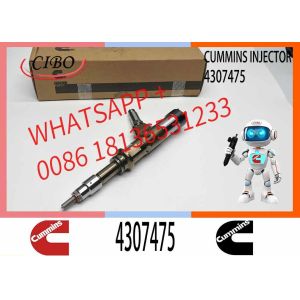 Diesel Fuel Injector Common Rail Injector For Scania ISG XPI 2872544, 4307475,