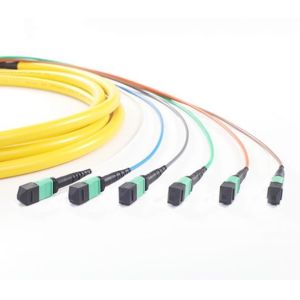 PVC LSZH Jacket MPO MTP Patch Cord High Density 40G/100G Cabling Solutions