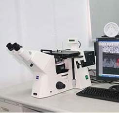 Inspection High Strength OEM Gray Cast Iron Sand Casting For Farm