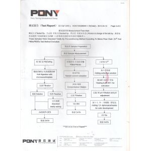 Environmental Protection Certification Large Faux Palm Plant HAIHONG