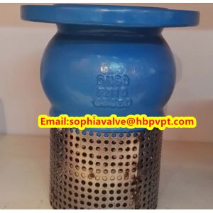 Ductile iron PN10/PN16 foot valve with good quality