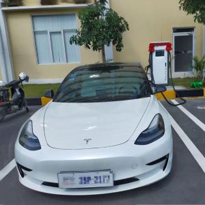 Amusement Park and Shopping Mall 60kw EV Charger Station with Scan QRCode Start