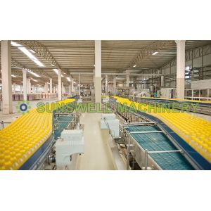 500ml Drink Juice Filling Machine Hot Filling With Watermelon