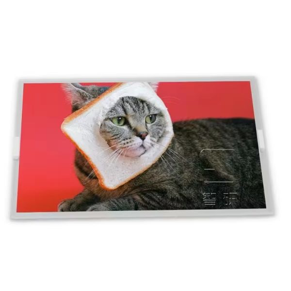 NEW and Original 1024*600 G101SAN01.2 10.1 Inch TN TFT LCD Display Module for