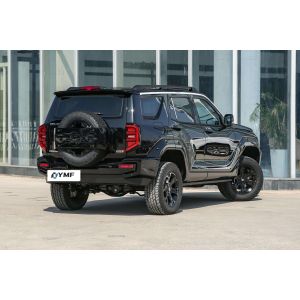 2024 Tank 400 Medium SUV Gasoline Car Road 4WD Vehicle Great Wall within Euro
