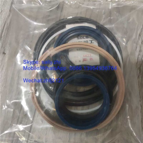 SDLG sealing kit , 4120004762016, grader spare parts for grader SDLG G9165/