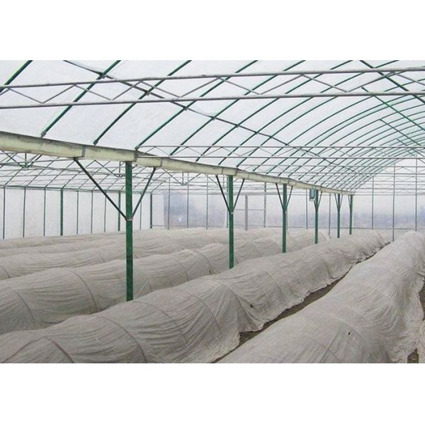 Buy Irrigated Clear Cooling Poly Plastic Film Greenhouse at wholesale prices