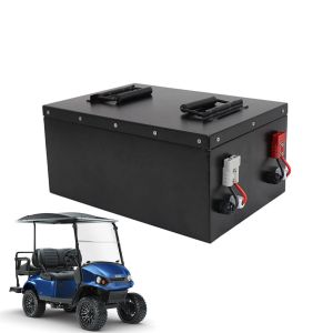 OEM ODM LiFePO4 lithium battery pack golf cart EV 48v 100ah 200ah golf cart club