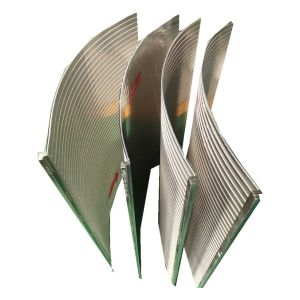 Stainless Steel Wedge Wire Screen Arc Screen for Starch Filtration