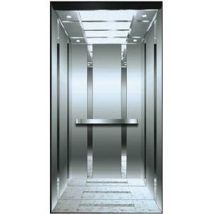 Energy Saving Personal Home Elevators VVVF Fuji Residential Lifts