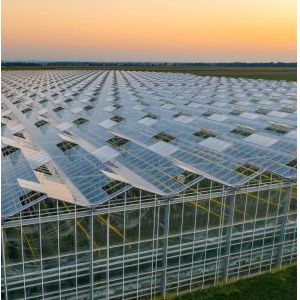 Good Light Transmission Glass Cover Venlo Greenhouse with Customization Option