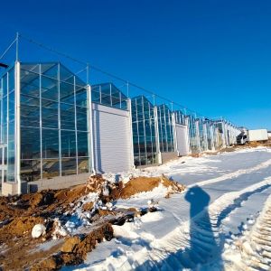 JX-A00126 Single Layer Glass Greenhouse for Sustainable Growth 100.000kg Gross