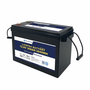 3840Wh Energy 12V Lithium Iron Phosphate Battery for Wide Range of Applications