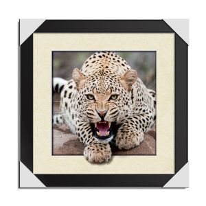 Recycled Carton Design 3D Lenticular Pictures With Sheet Material Paper Printing