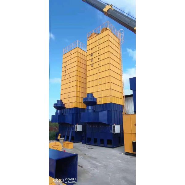 Buy 30 Tons Lentil Dryer Machine Automatic Multislot Prevent Crack at wholesale prices