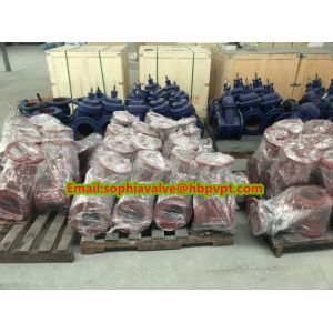 high quality BS PN10/16 cast iron gate valve