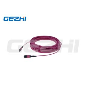 12Core Data Center Om4 Red Rose Round Mtp Mpo Optical Cable Patch Cord