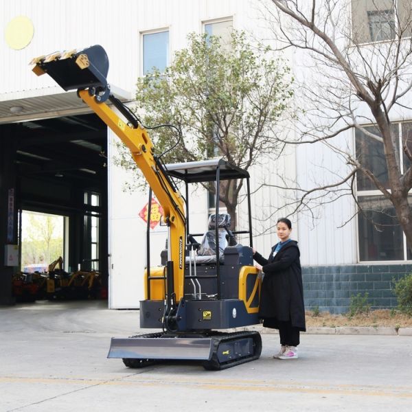 Remote Control Mini Excavator 1 Ton Hydraulic Digger CE EPA