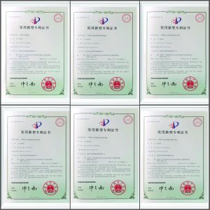 SHENZHEN JIATUO PLASTIC MACHINERY CO.,LTD Certifications