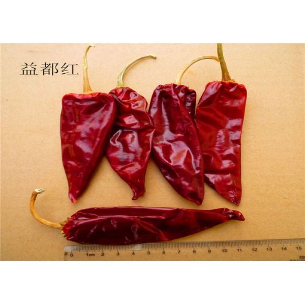 12cm Dried Spicy Peppers Pungent Dried Red Chili Pods 12% Moisture