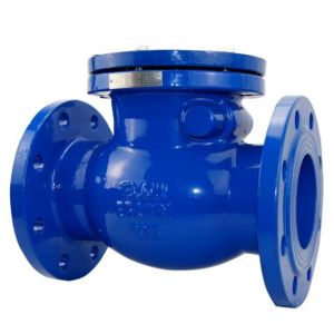 Ball Check Valve 12 Inch Vertical With Epoxy Powder Coating DN15 - DN300