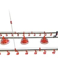 Full-automatic feeding machine winch feed line equipment for chicken and duck