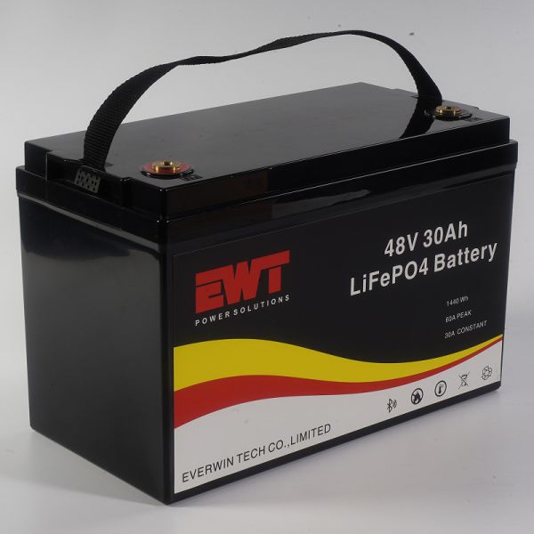 High Safety 48V 30Ah Lifepo4 Energy Storage Battery for Lead Acid