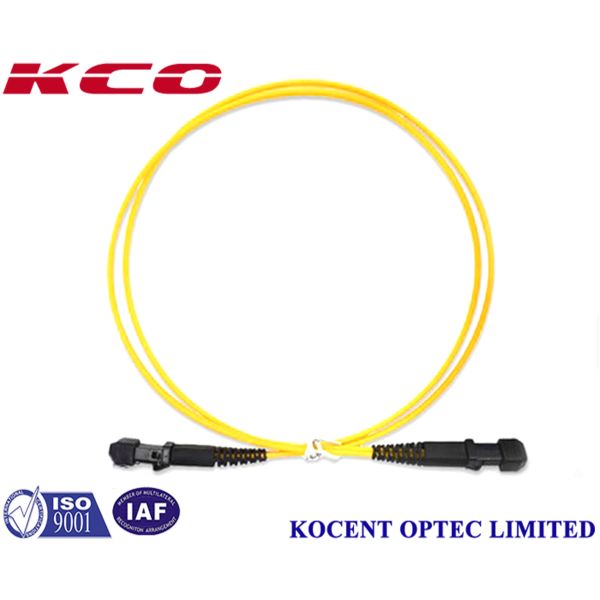 MT-RJ/UPC Single Mode Fiber Optic Patch Cord with 2.0mm Diameter and 1.0m Length