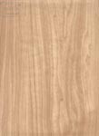 Wood grain paper design---melamine paper(with melamine coating)