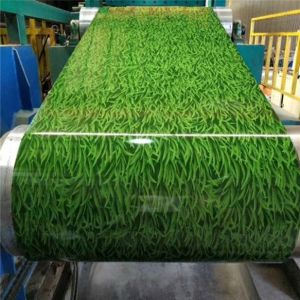 Printed Ppgi Steel Coil Customized With Special Patterns