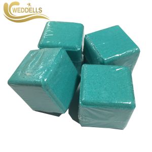 Cute Green Aromatherapy Shower Steamers / Eucalyptus Shower Bomb